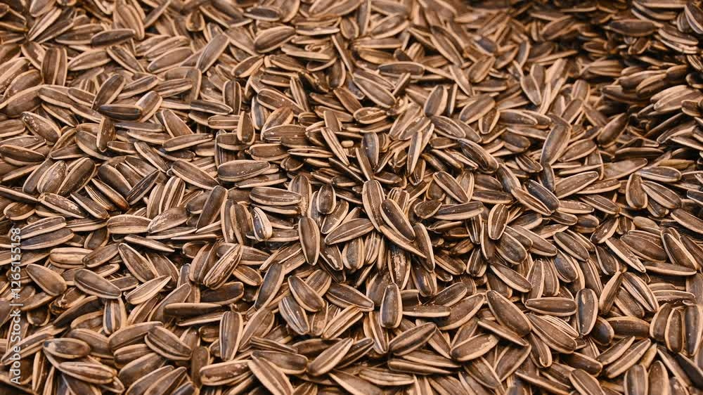 Sunflower seeds for sale in local market. Close up of Sunflower seeds on a pile. Sunflower seeds for sale in local market. Close up of Sunflower seeds on a pile.