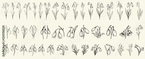 Minimalist black line art snowdrops for wedding invitations, feminine botanical floral branch, trendy greenery, hand drawn wedding herbs for logos, wedding stationery, elegant floral design