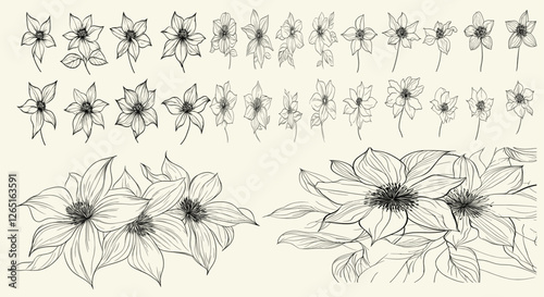Elegant clematis floral branch line art for luxury wedding logos, feminine greenery perfect for chic decor and high-end branding, ideal for classy wedding invitations, botanical design, event statione