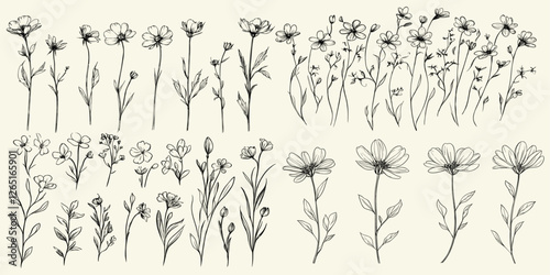 Wildflower collection for chic wedding stationery, feminine botanical floral branch, trendy greenery, rustic invitations, ideal for eco-conscious branding, boho-themed decor, black line art.