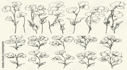 Sweet pea flowers in black line art for vintage wedding invitations, logos, elegant decor, and personalized stationery, ideal for classic branding, botanical floral branch, trendy greenery.