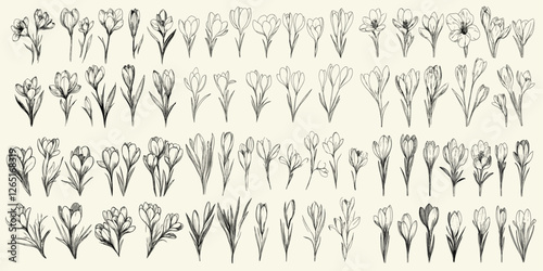 Chic decor and botanical floral branches with trendy greenery, perfect for wedding invitations, spring decor, and seasonal branding, elegant crocus flowers for wedding designs, floral art, wedding dec