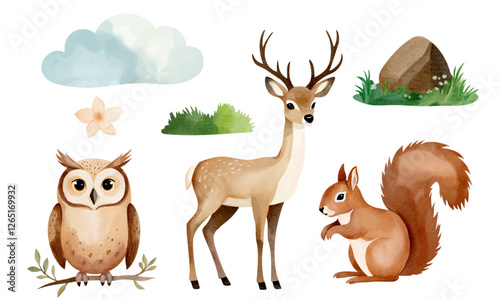 Set of hand drawn animals and forest elements. Reindeer, squirrel, owl. Watercolor woodland animals.