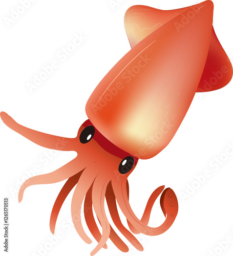 오징어, 먹을것, 해삼물, 바다, 네이처, 가재, 새우, red, 벡터, 게, animal, 아이콘, 기호