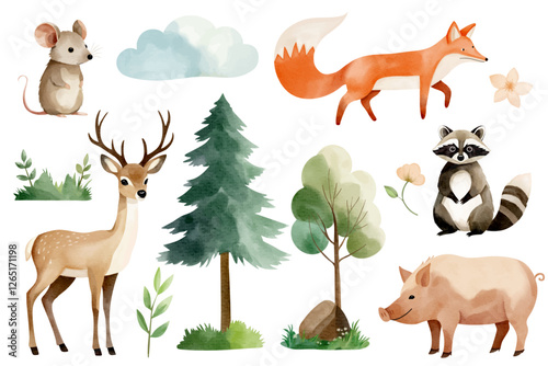 Watercolor woodland animals and forest trees. Set of hand drawn animals. Raccoon, mouse, reindeer, fox, boar
