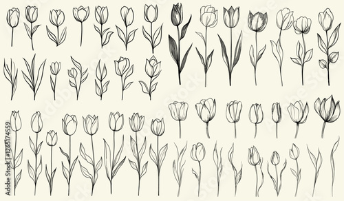 Hand drawn greenery, minimalist wedding decor with stylized black line art tulips, feminine botanical floral branch for modern invitations, chic event branding, elegant decor, floral logos,