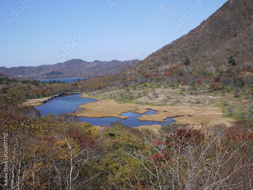 赤城山　覚満淵の草紅葉 photo