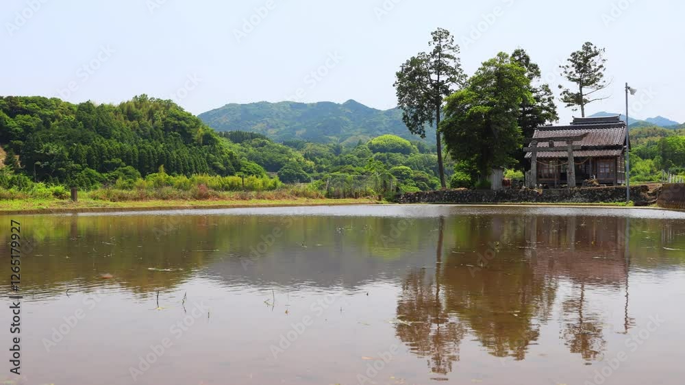 水田の反射と小さな神社(大分県豊後大野市) 水田の反射と小さな神社(大分県豊後大野市)