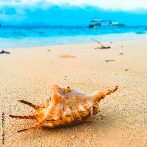 Chizhou City, Anhui Province - Diving at the bottom of the lake and island scenery