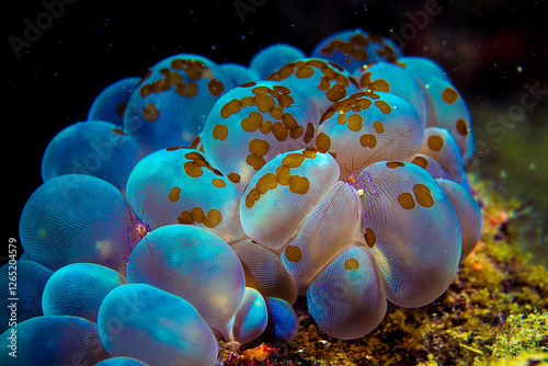 Chizhou City, Anhui Province - Diving at the bottom of the lake and island scenery