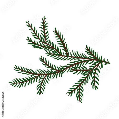 branch of a Christmas tree for toys. Evergreen tree. Spruce. cedar twig. An illustration. Winter plants. Christmas tree. Festive. Natural diverse branches. Isolated decor for decoration. Hand-drawn