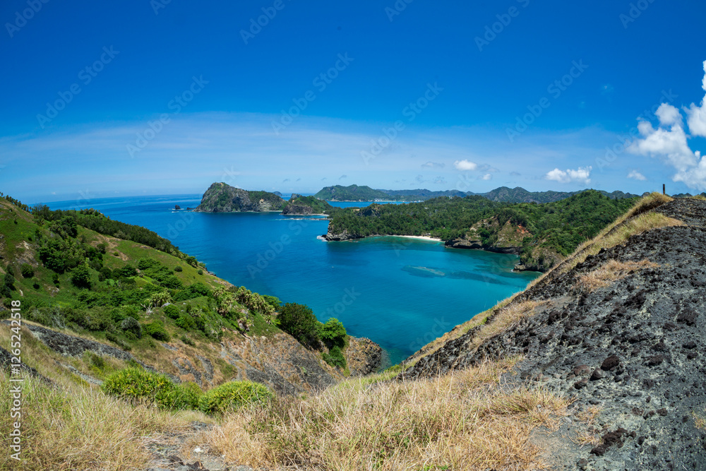 Fototapeta premium 中山峠から見る小港海岸 小笠原