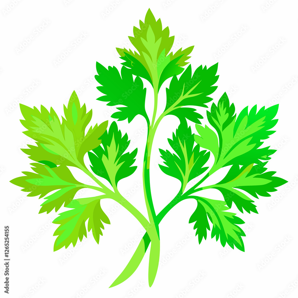 Naklejka premium parsley isolated