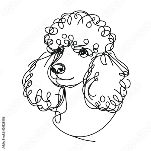 Poodle breed Dog Continuous one line drawing, inimalist vector illustration design on white background. Simple line modern graphic style. Hand drawn graphic concept