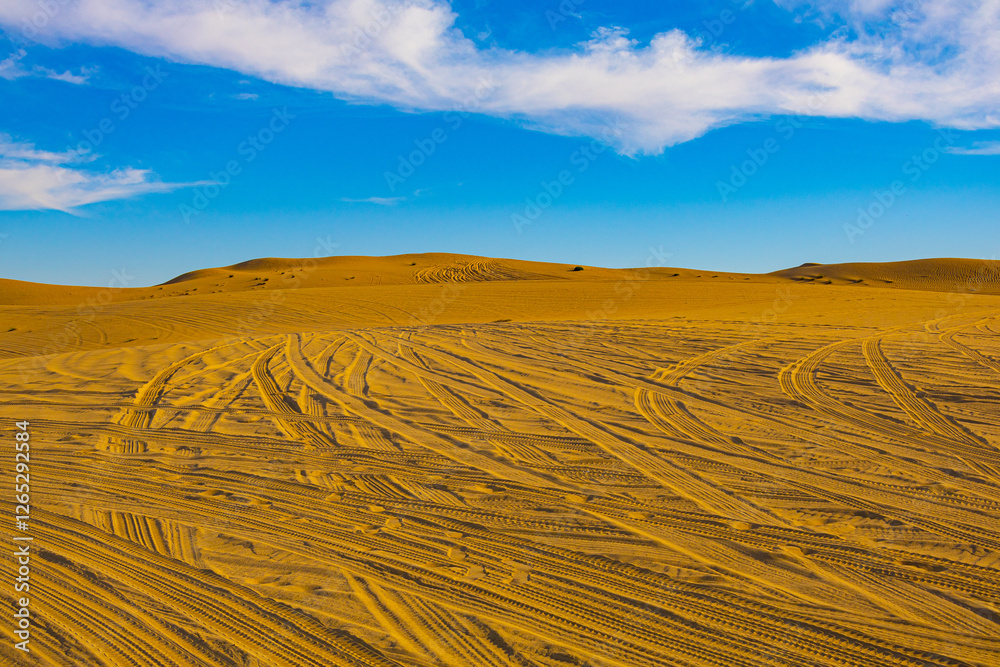 Naklejka premium Sand dunes in the desert