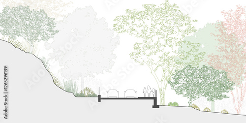 road urban section, landscape architecture design in line art vector photo