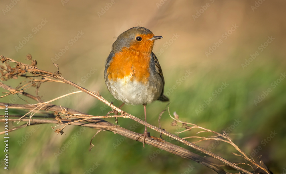 Fototapeta premium Generated image