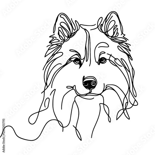 Siberian Husky breed Dog Continuous one line drawing, inimalist vector illustration design on white background. Simple line modern graphic style. Hand drawn graphic concept