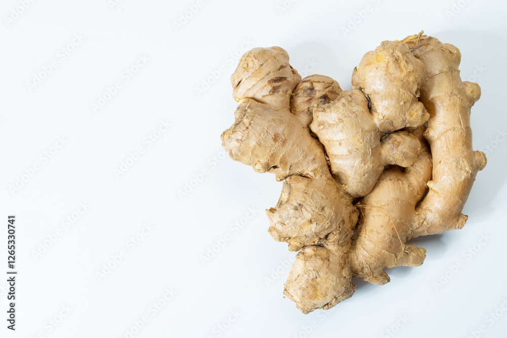 Fresh organic ginger rhizome root used in traditional medicines and for flavoring meals, drinks, isolated on white Fresh organic ginger rhizome root used in traditional medicines and for flavoring meals, drinks, isolated on white