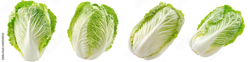 Fresh Green Romaine Lettuce Leaves, isolated on transparent background. Fresh Green Romaine Lettuce Leaves, isolated on transparent background.