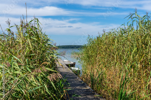 Fototapeta Naklejka Na Ścianę i Meble -  Lake Seksty. Landscape of Masuria in Poland, Karwik village in the Pisz area.