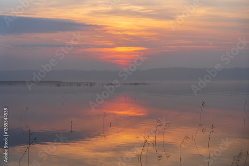 Fototapeta Naklejka Na Ścianę i Meble -  Foggy golden sunset over Lake Seksty. Landscape of Masuria in Poland, Karwik village in the Pisz area.