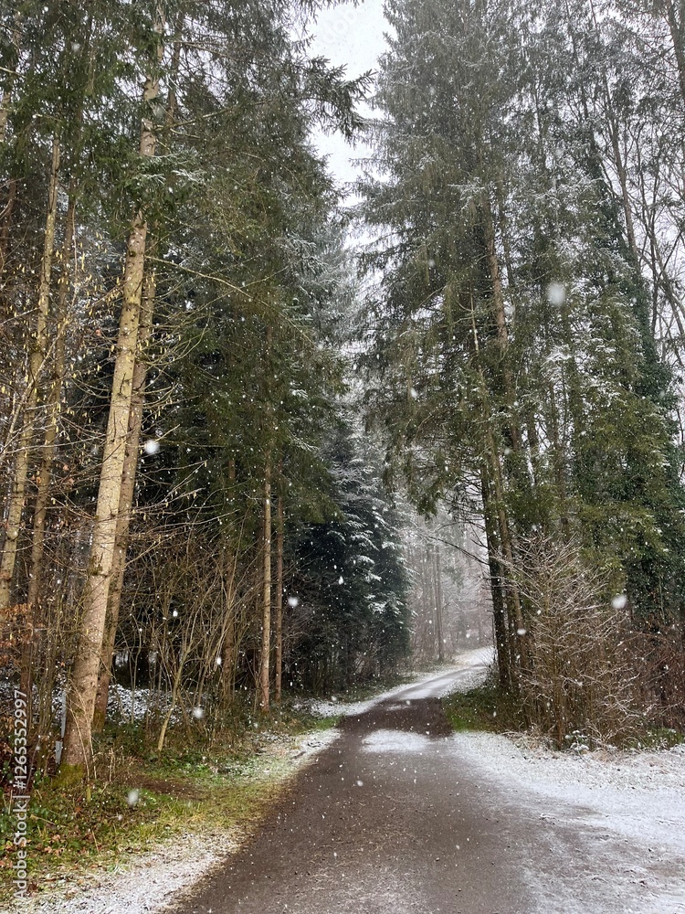 Fototapeta premium snowy forest road