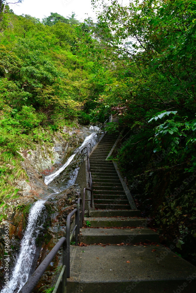 Obraz premium 角神不動滝（新潟県）