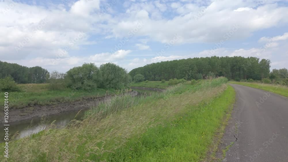 A serene and peaceful riverbank adorned with vibrant greenery, calm water, and a winding path beneath a bright blue sky A serene and peaceful riverbank adorned with vibrant greenery, calm water, and a winding path beneath a bright blue sky