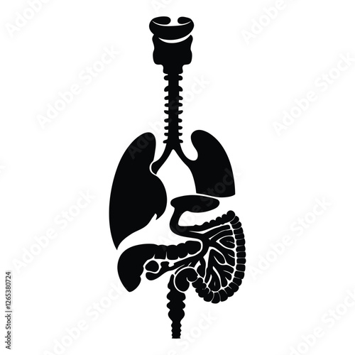A clean, bold black silhouette graphic of the human respiratory and digestive systems.