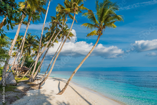 Fototapeta Naklejka Na Ścianę i Meble -  Paradise beach with palm trees and quiet sea on tropical island. Travel vacation banner.