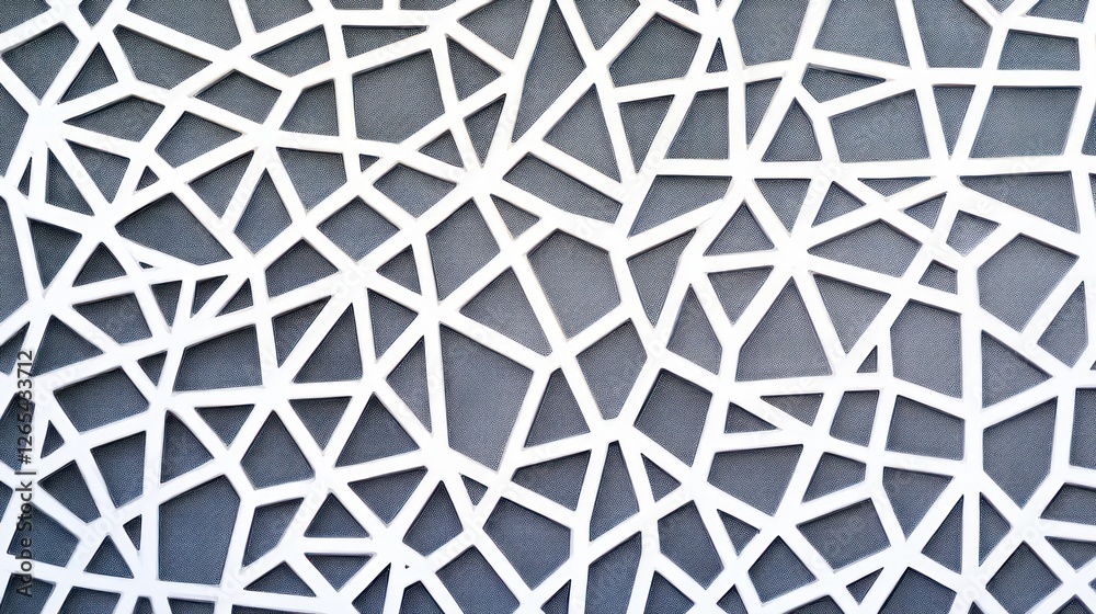 Fototapeta premium Intricate White Geometric Pattern on Gray Background Design Texture