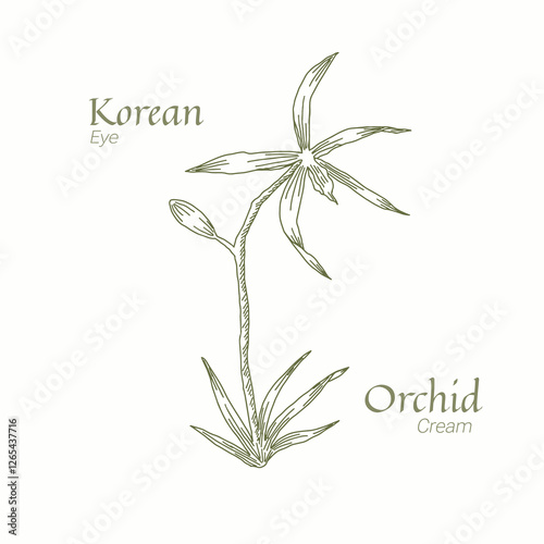 Korean Jeju Orchid Skincare Logo Hand Drawn Botanical Design for Natural Beauty Branding