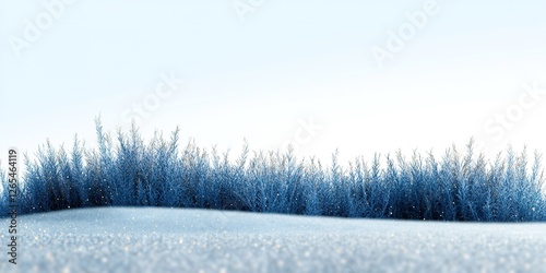 Frozen Grass: Serene winter...