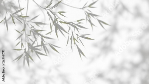 Abstract shadows of delicate bamboo leaves dancing on a clean white background, evoking a sense of Zen and tranquility.