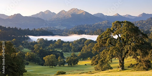 Mountain Mist: A serene pan...