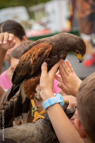 Children petting a tame domesticated hawk