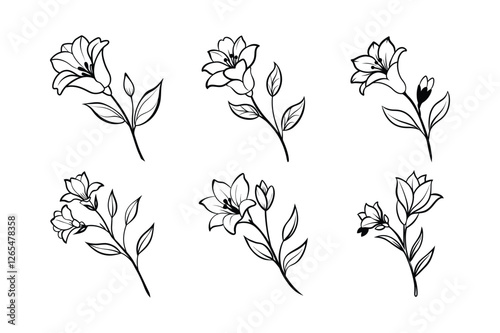 Freesia (Freesia spp.) line art vector illustration