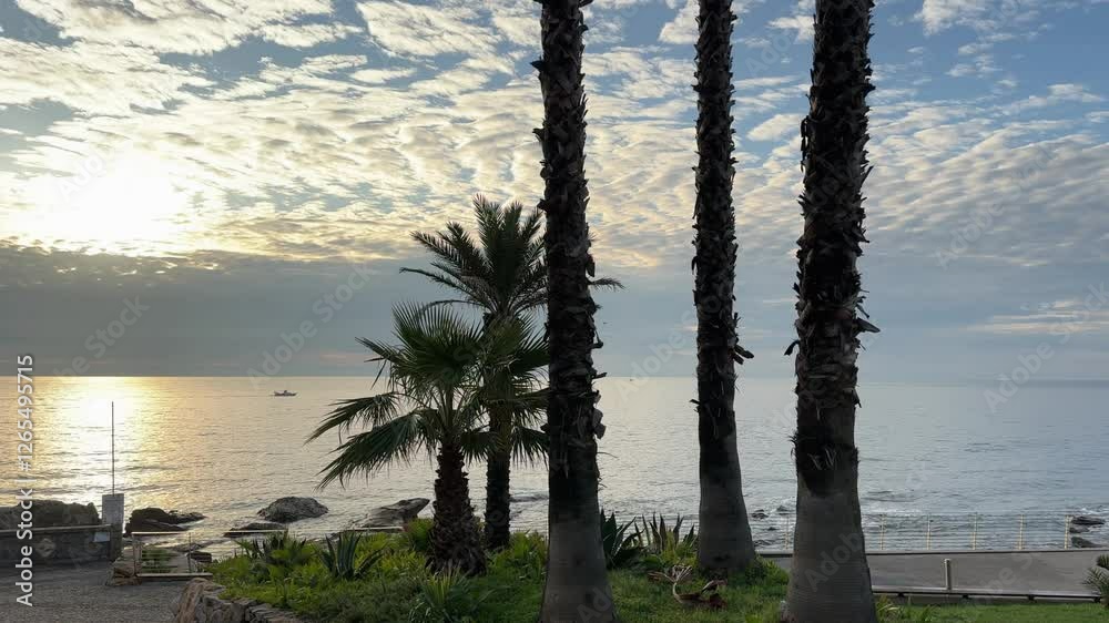 High palms on a seafront against the sea and sky High palms on a seafront against the sea and sky