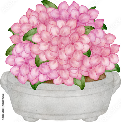 Fototapeta Naklejka Na Ścianę i Meble -  watercolor hydrangea