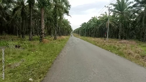 Village Road to Angsana Beach Tanah Bumbu South Kalimantan Indonesia  photo