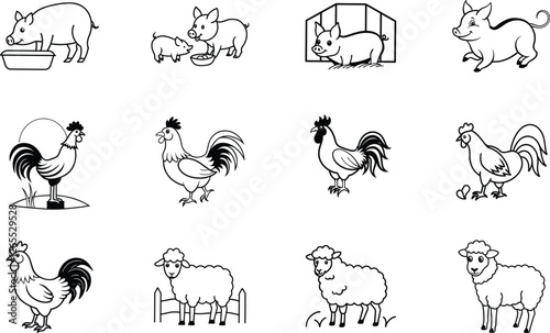 Farm Animals Illustrations Pigs, Chickens, Sheep, Barns, and Feeding