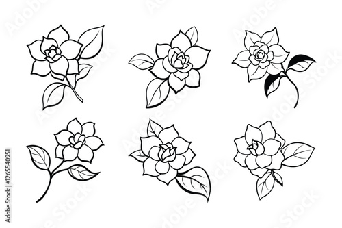 Gardenia (Gardenia jasminoides)