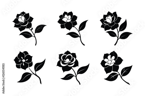 Gardenia (Gardenia jasminoides) silhouette vector illustration