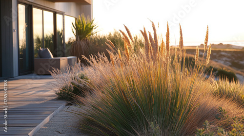 Fototapeta Naklejka Na Ścianę i Meble -  A contemporary beach house with panoramic ocean views, a sandy dune garden with native grasses, and a wooden deck for sunset gatherings.