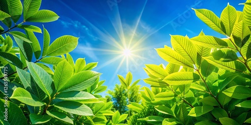 Aerial Drone Shot: Lush Green Leaves Against Vibrant Blue Sky - Fresh Nature Background