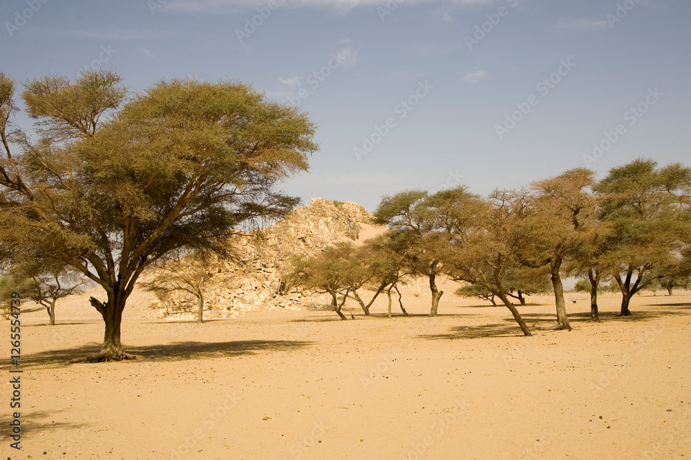 Sudan desert landscape on a sunny spring day Sudan desert landscape on a sunny spring day
