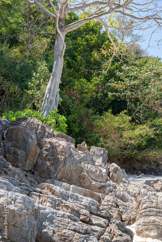 Trees and rocks on beach on Bamboo Island or Ko Mai Phai is small island in Thailand, located between Krabi coast and Phi Phi Islands, Adaman sea. Vertical image photo