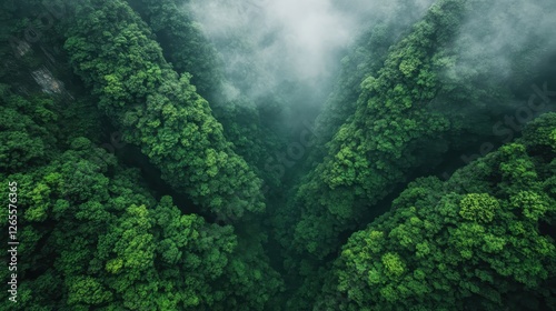 This stunning aerial view showcases a dense forest valley flanked by steep green mountains, partially shrouded in mist, depicting nature's untouched beauty and serenity. photo