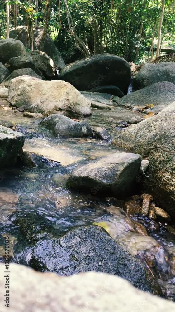 Close-up shot of a stream stream with dry leaves in it Close-up shot of a stream stream with dry leaves in it